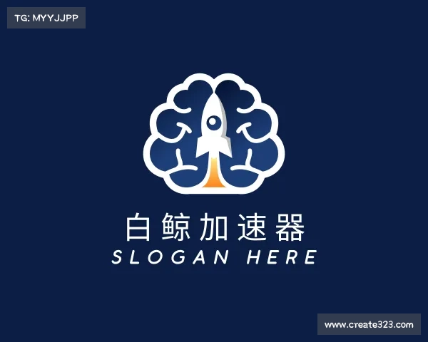 介绍白鲸加速器